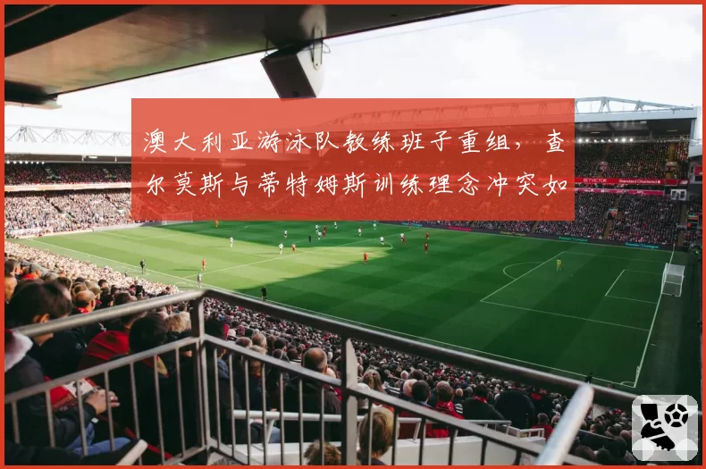 澳大利亚游泳队教练班子重组，查尔莫斯与蒂特姆斯训练理念冲突如何化解？