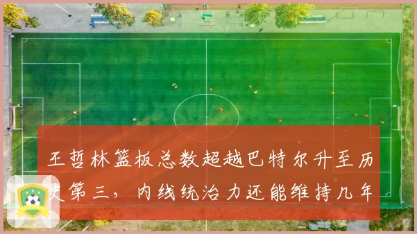 王哲林篮板总数超越巴特尔升至历史第三，内线统治力还能维持几年？